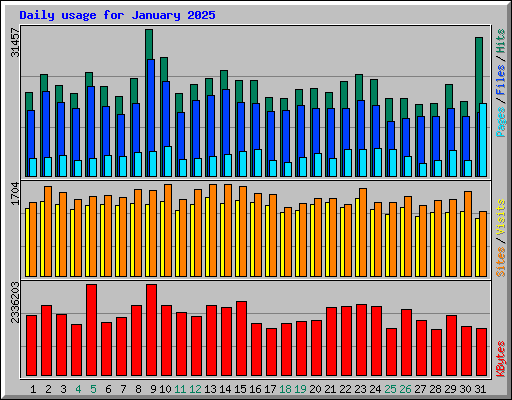 Daily usage for January 2025