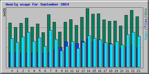 Hourly usage for September 2024