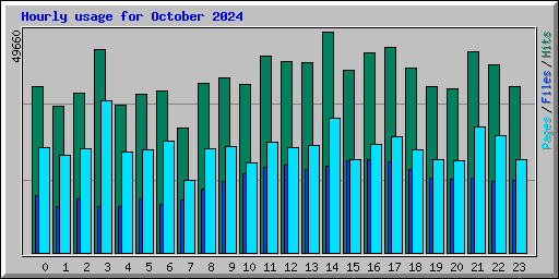 Hourly usage for October 2024