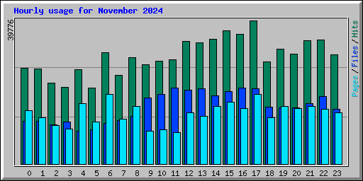 Hourly usage for November 2024