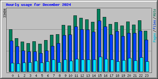 Hourly usage for December 2024