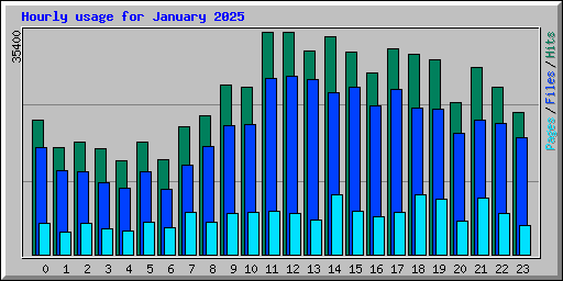 Hourly usage for January 2025