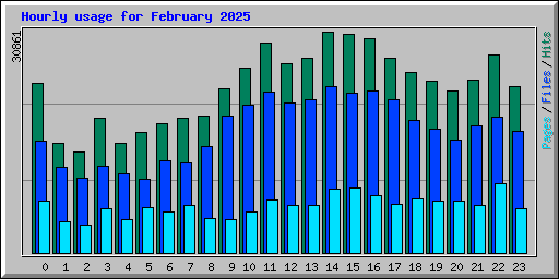 Hourly usage for February 2025