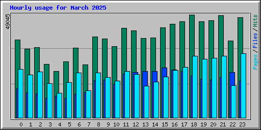 Hourly usage for March 2025