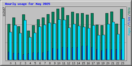 Hourly usage for May 2025