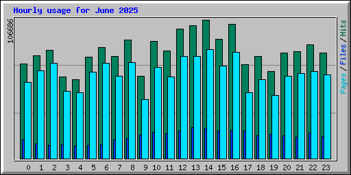 Hourly usage for June 2025