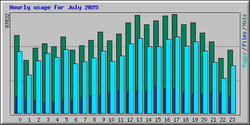 Hourly usage for July 2025
