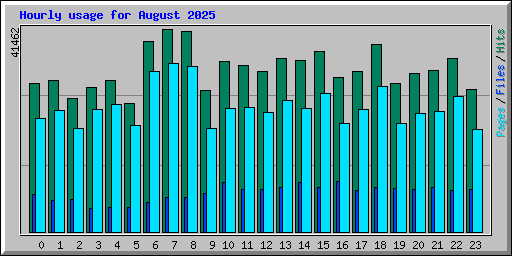 Hourly usage for August 2025