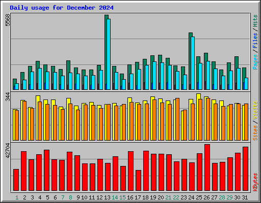Daily usage for December 2024