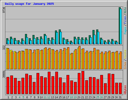 Daily usage for January 2025