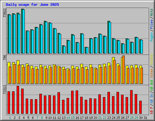 Daily usage for June 2025