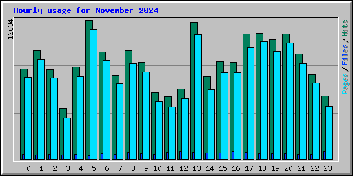 Hourly usage for November 2024