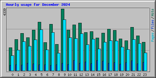 Hourly usage for December 2024