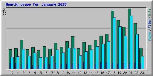 Hourly usage for January 2025