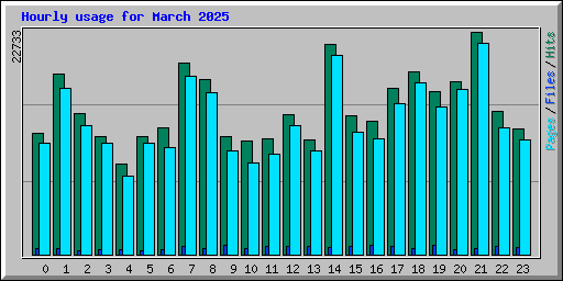 Hourly usage for March 2025