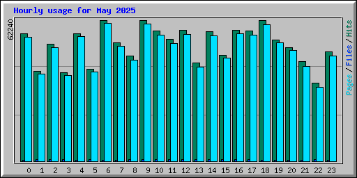Hourly usage for May 2025