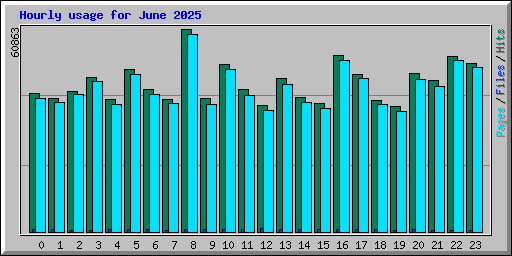 Hourly usage for June 2025