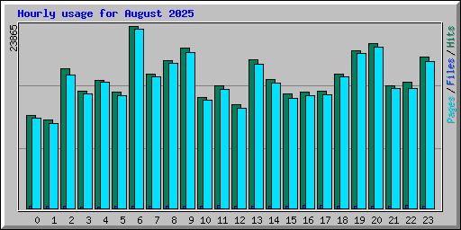 Hourly usage for August 2025
