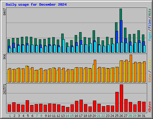 Daily usage for December 2024