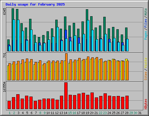 Daily usage for February 2025