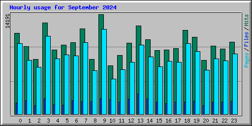 Hourly usage for September 2024