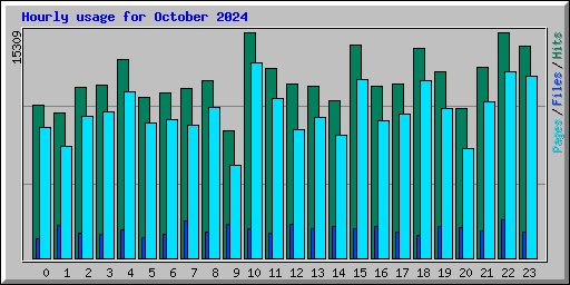 Hourly usage for October 2024