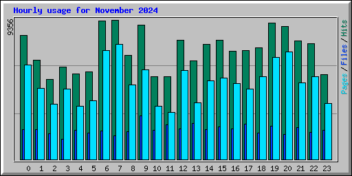 Hourly usage for November 2024