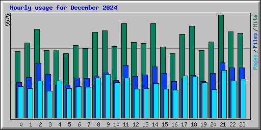 Hourly usage for December 2024