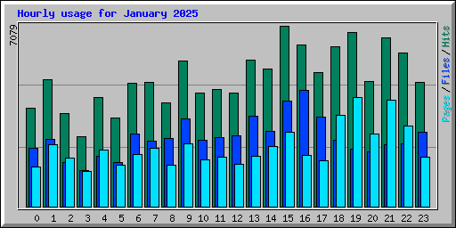 Hourly usage for January 2025