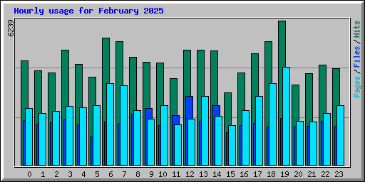 Hourly usage for February 2025