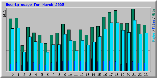 Hourly usage for March 2025