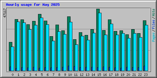 Hourly usage for May 2025