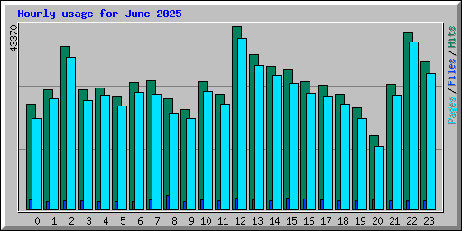 Hourly usage for June 2025
