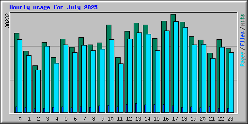 Hourly usage for July 2025