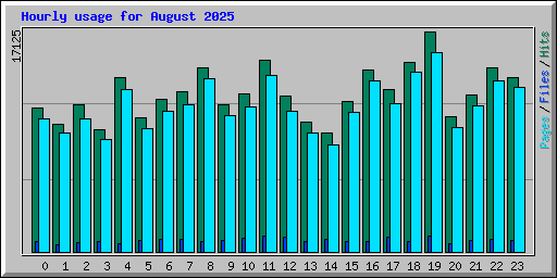 Hourly usage for August 2025