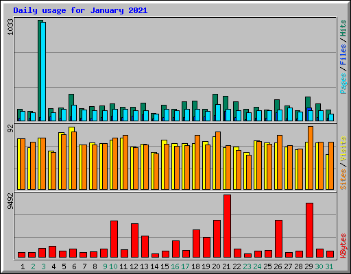 Daily usage for January 2021