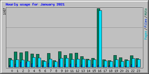 Hourly usage for January 2021