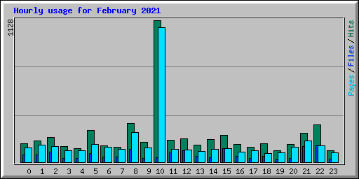 Hourly usage for February 2021