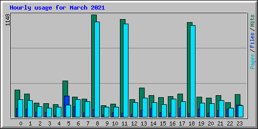 Hourly usage for March 2021
