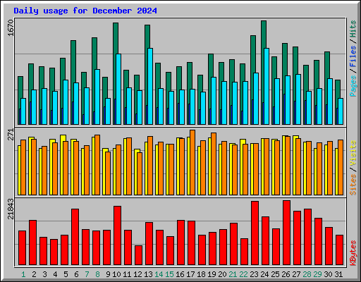 Daily usage for December 2024
