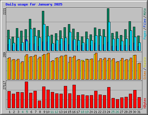 Daily usage for January 2025