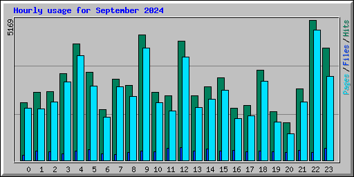 Hourly usage for September 2024