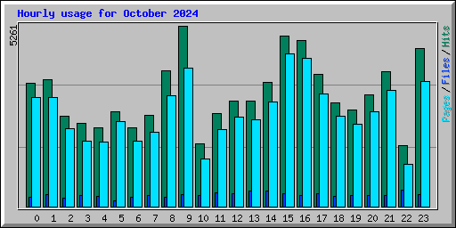 Hourly usage for October 2024