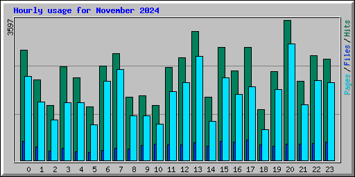 Hourly usage for November 2024