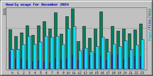 Hourly usage for December 2024