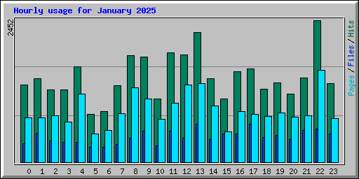 Hourly usage for January 2025