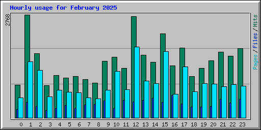 Hourly usage for February 2025