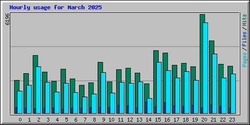 Hourly usage for March 2025