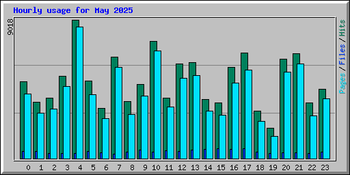 Hourly usage for May 2025