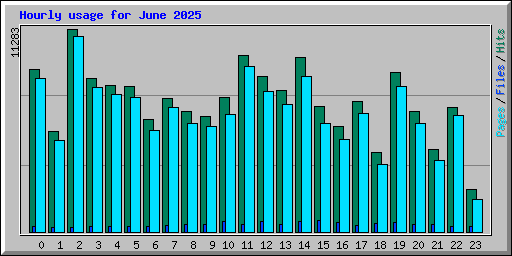 Hourly usage for June 2025